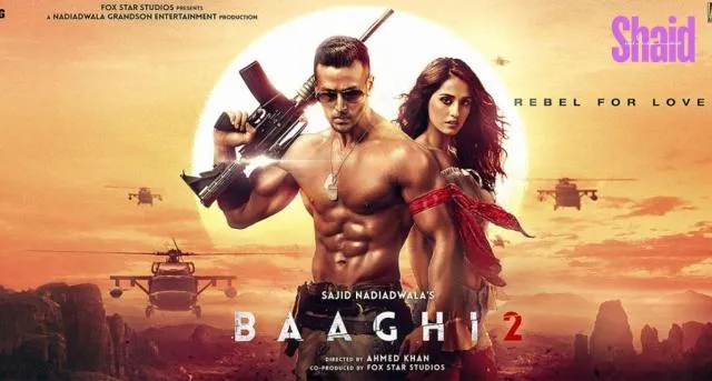 مشاهدة فيلم Baaghi 2 2018 مترجم