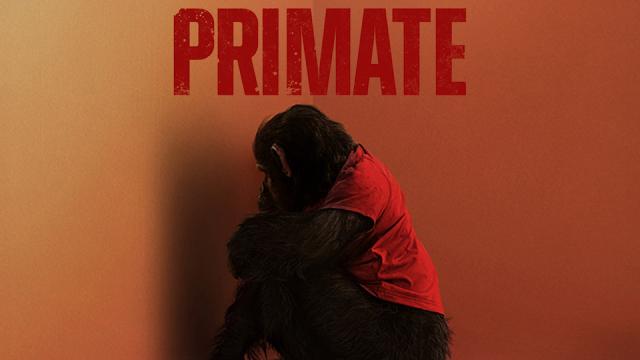 مشاهدة فيلم Primate 2026 مترجم كامل