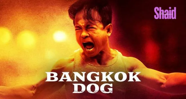 مشاهدة فيلم Bangkok Dog 2024 مترجم