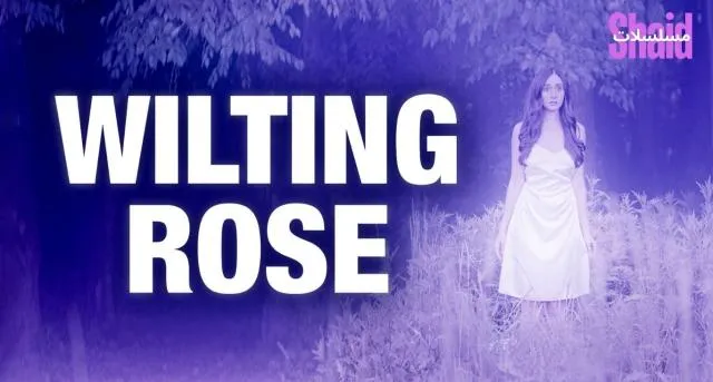 مشاهدة فيلم Wilting Rose 2025 مترجم كامل