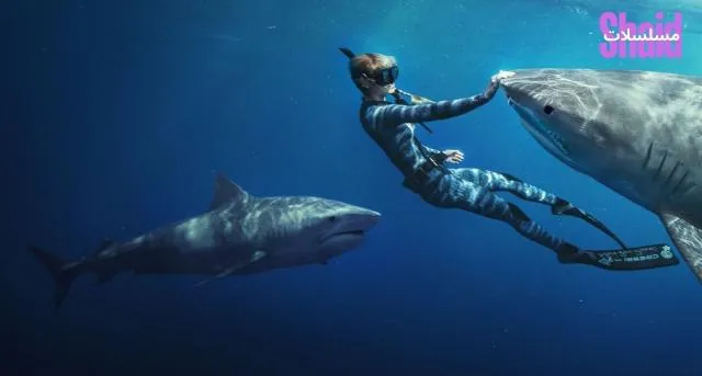 مشاهدة فيلم Shark Whisperer 2025 مترجم كامل